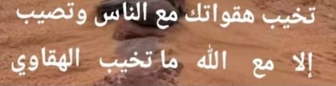 ذيب تويتر tweet media