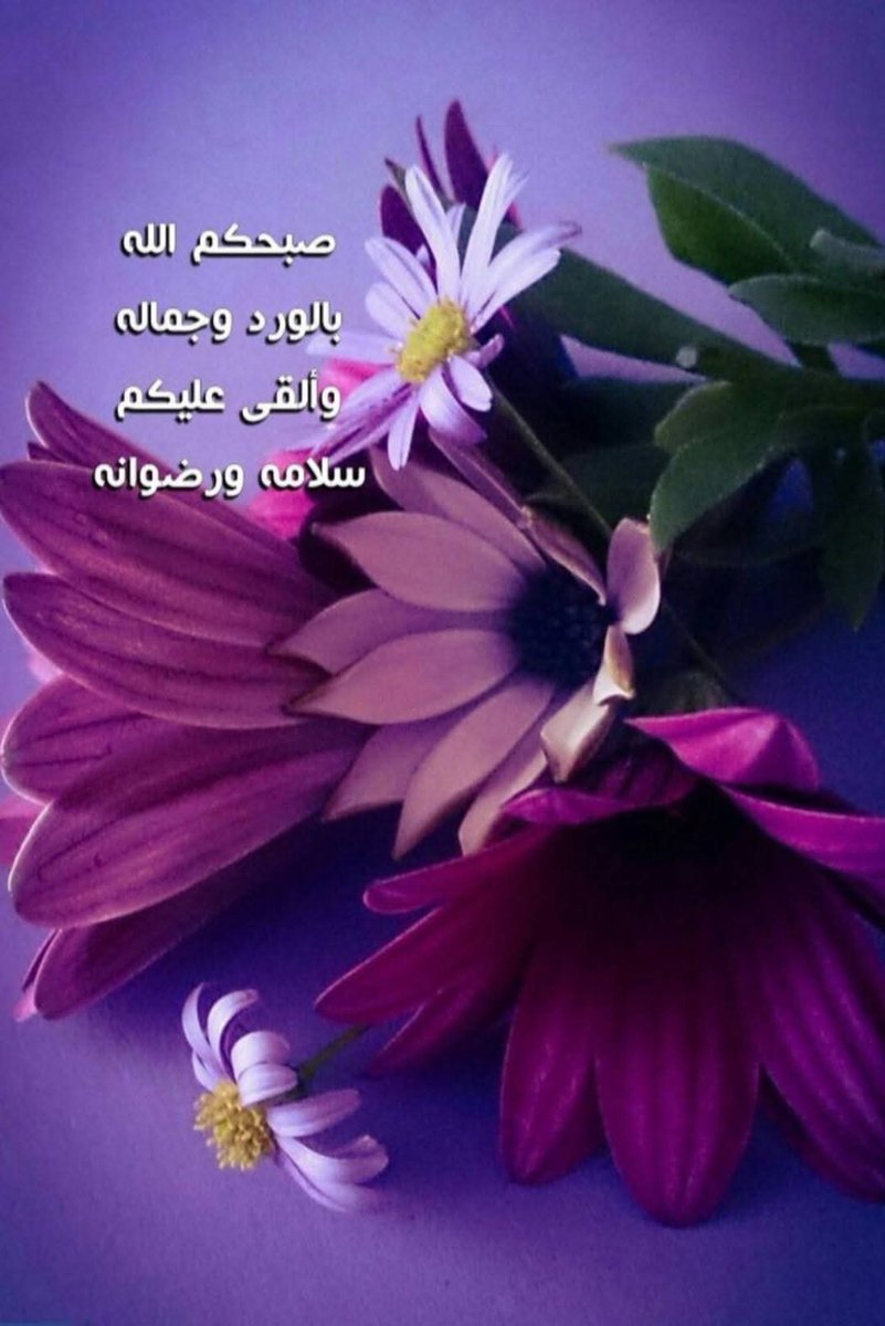 Nisreen fouad tweet media