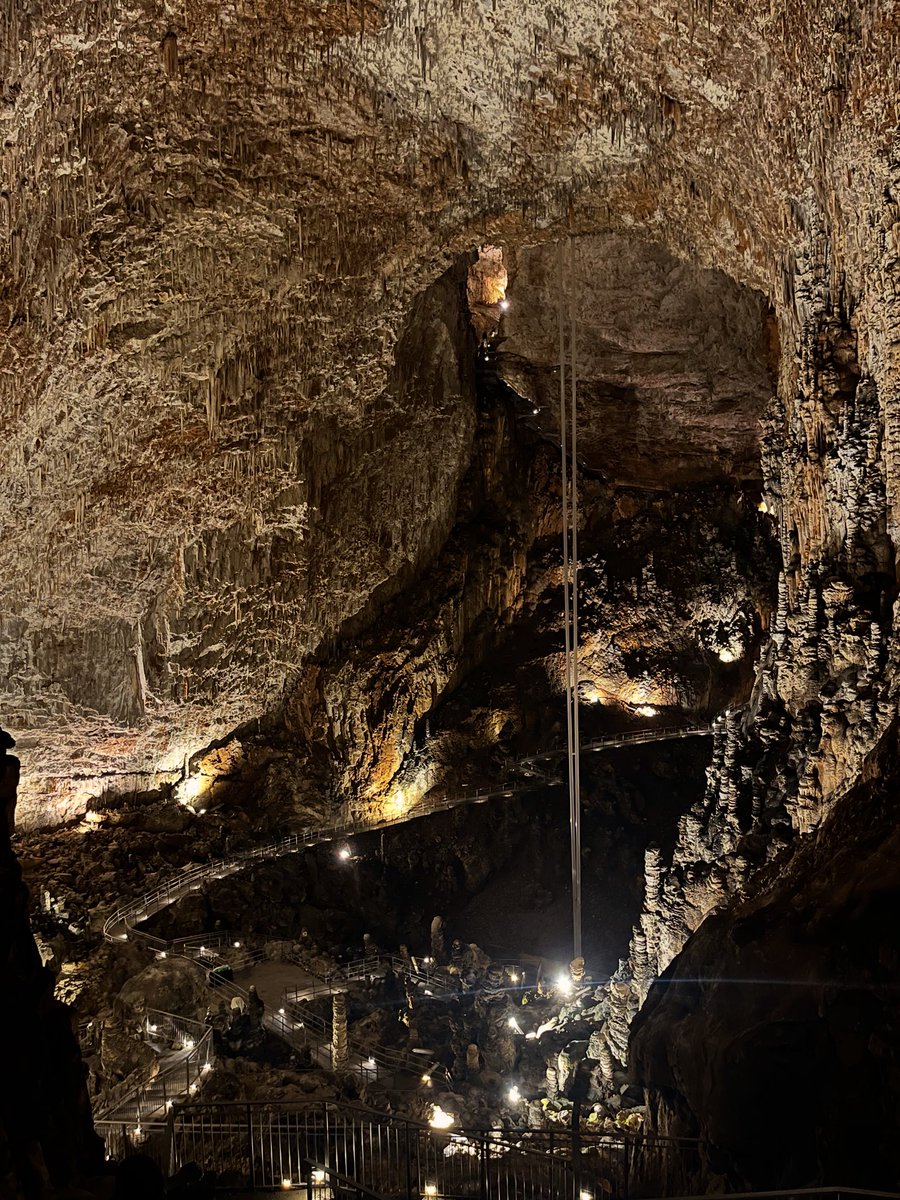mikaelsilf's tweet image. Grotta Gigante

The next day, we set out to explore the surroundings of #Trieste. Our choice was #GrottaGigante - one of the largest natural caves in the world⬇️