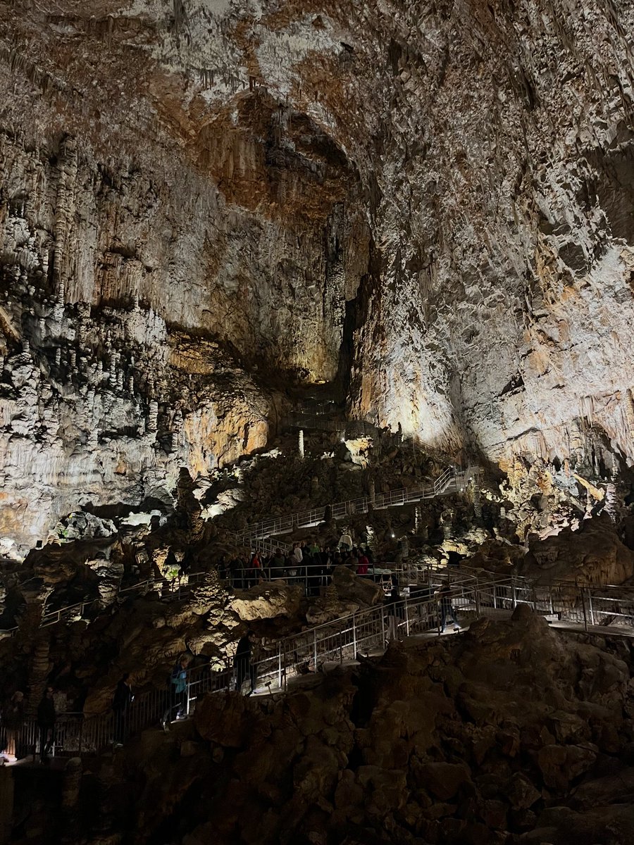 mikaelsilf's tweet image. Grotta Gigante

The next day, we set out to explore the surroundings of #Trieste. Our choice was #GrottaGigante - one of the largest natural caves in the world⬇️