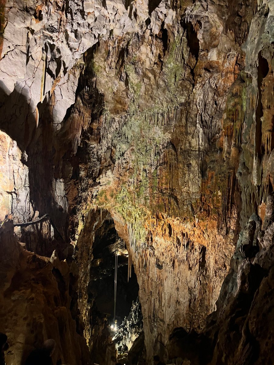 mikaelsilf's tweet image. Grotta Gigante

The next day, we set out to explore the surroundings of #Trieste. Our choice was #GrottaGigante - one of the largest natural caves in the world⬇️