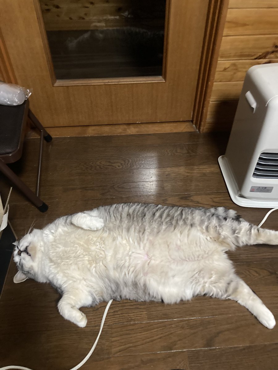 かこ tweet media