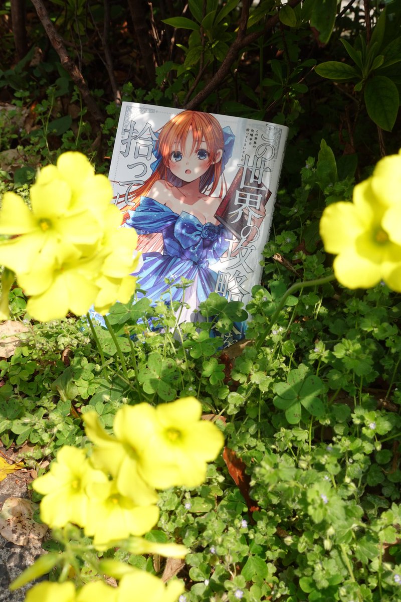 この世界の攻略本を拾ってしまいました』公式📕3巻3/31発売