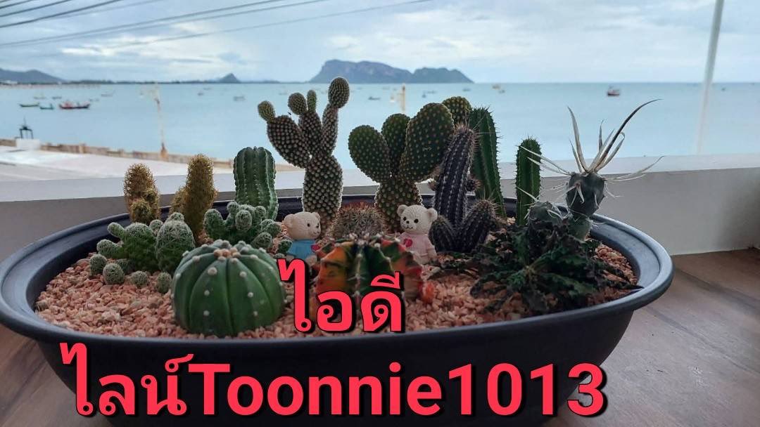 รับงานนวดประจวบ tweet media