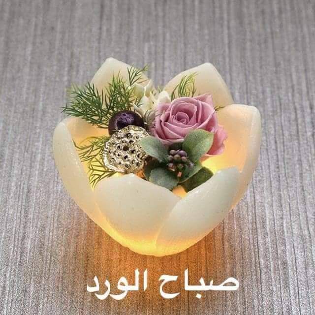 اشرف اشرف tweet media