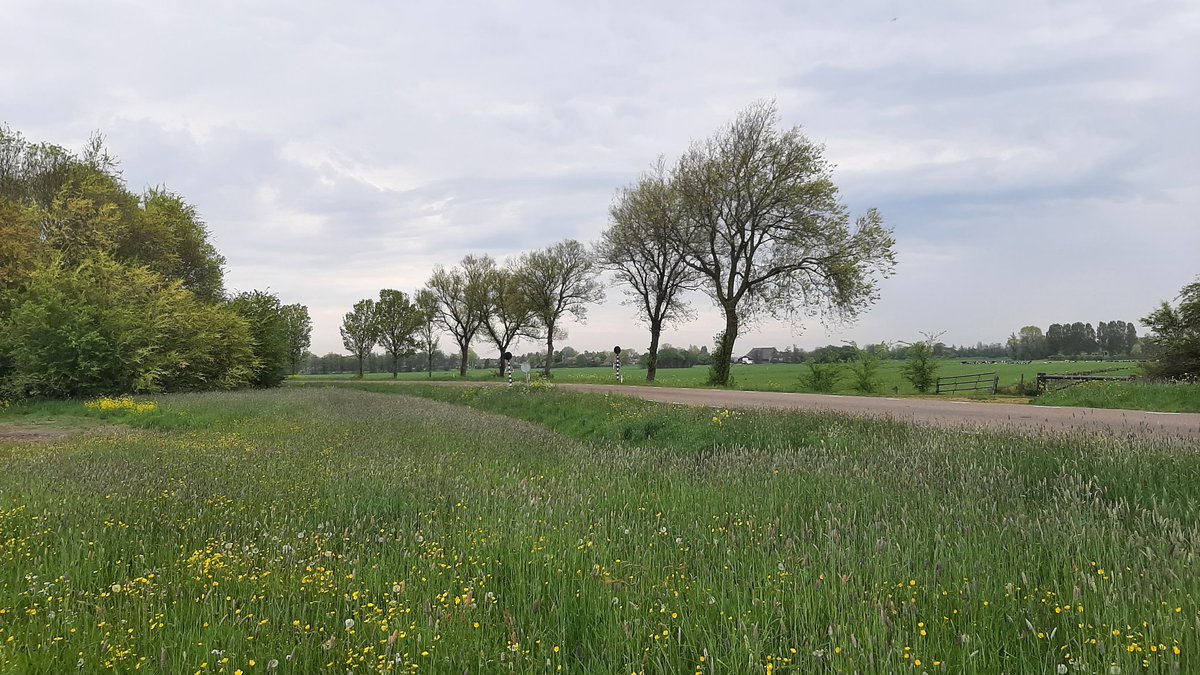 Ga Wandelen tweet media