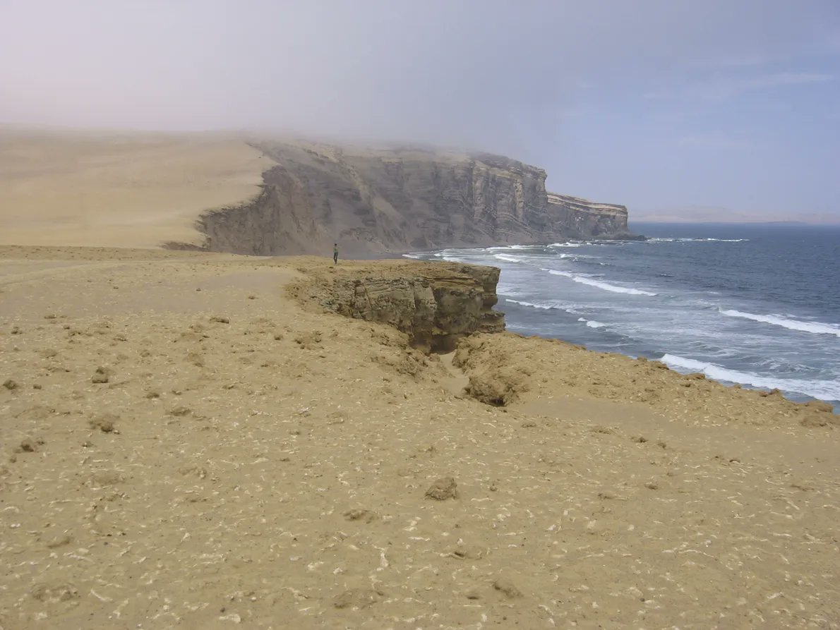 Eduardo_Andre1's tweet image. 📷 Foto do dia: Cientistas peruanos encontraram fósseis de pinguins gigantes nesta praia de Paracas, Peru. As descobertas, documentadas na edição de fevereiro de 2008, sugerem que as aves tinham mais de 1,5 m de altura e toleravam climas quentes. #Foto #fotografia #FotodoDia
