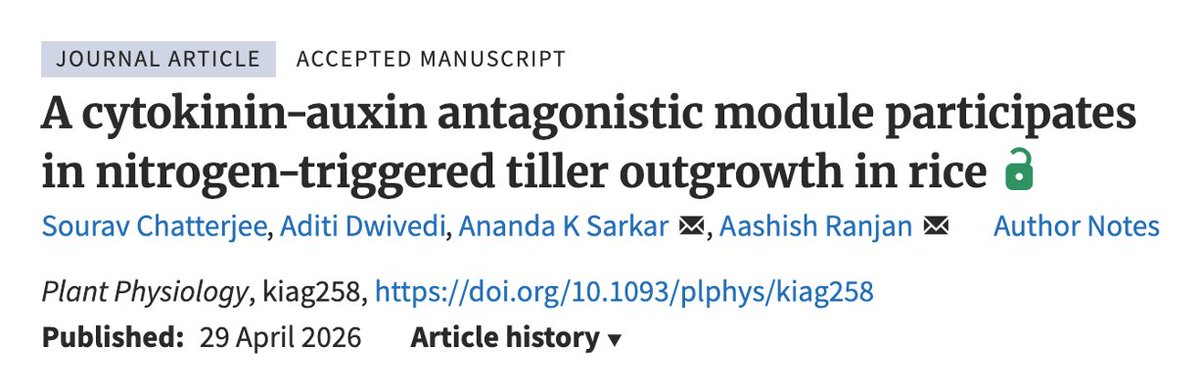 thePhotoDevoLab's tweet photo. Delighted to see our work accepted in @PlantPhys.🌱
Congratulations to @S_Chatterjeebgb for this well-deserved achievement. Great to see him continue as a Postdoctoral Fellow in @Thepallavisingh lab at @Uni_of_Essex. 
Special thanks to @aditidwivedi_11 for her contribution! https://t.co/hX5B1V5ApO