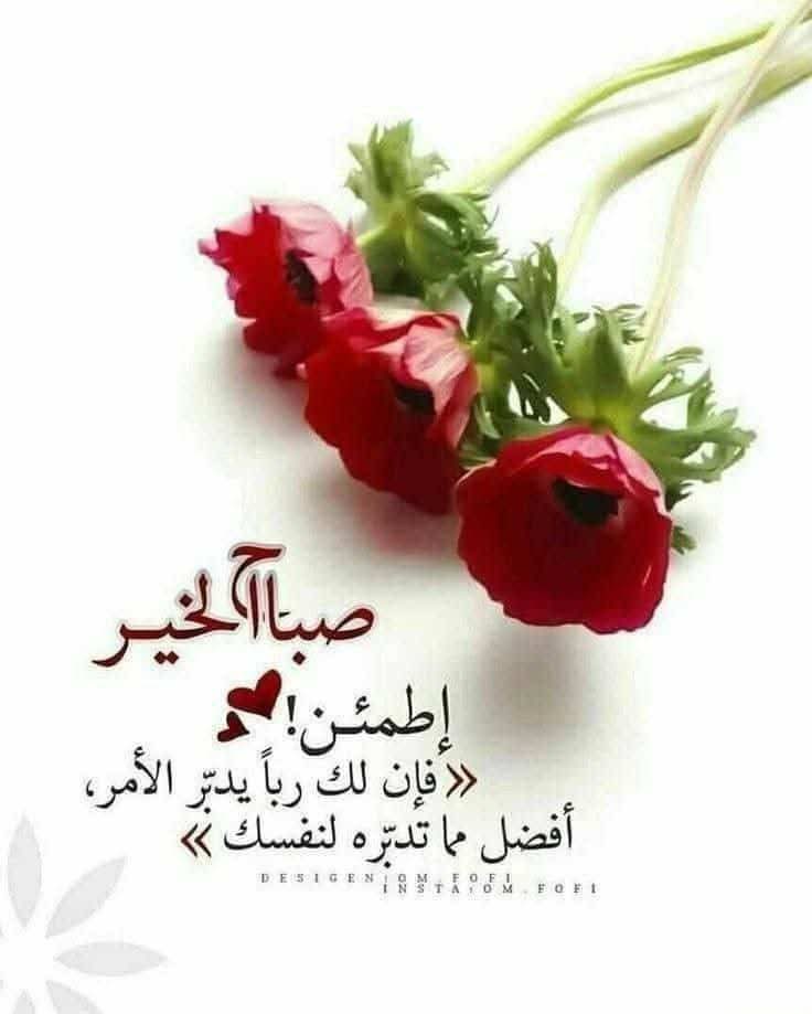 ayman ahmead tweet media