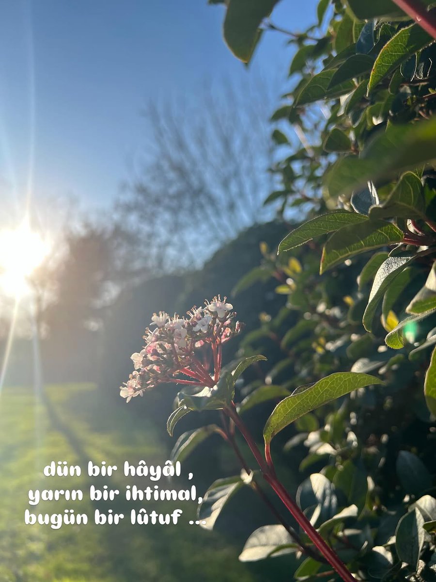 ~VaKtİ SeHeR~ tweet media