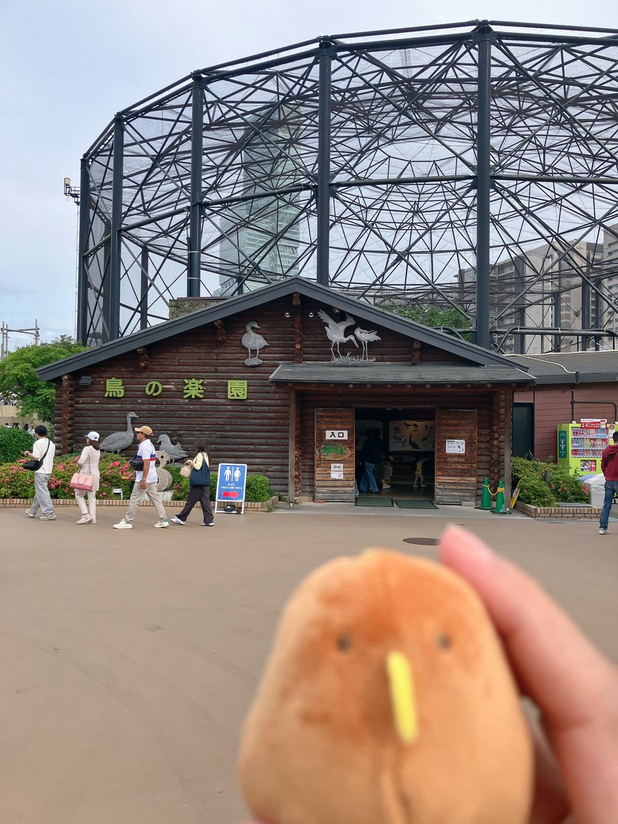 ただの犬 tweet media