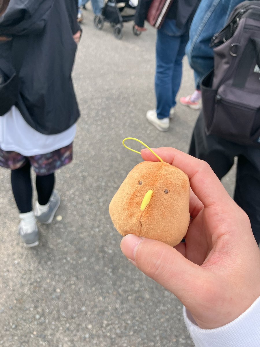 ただの犬 tweet media