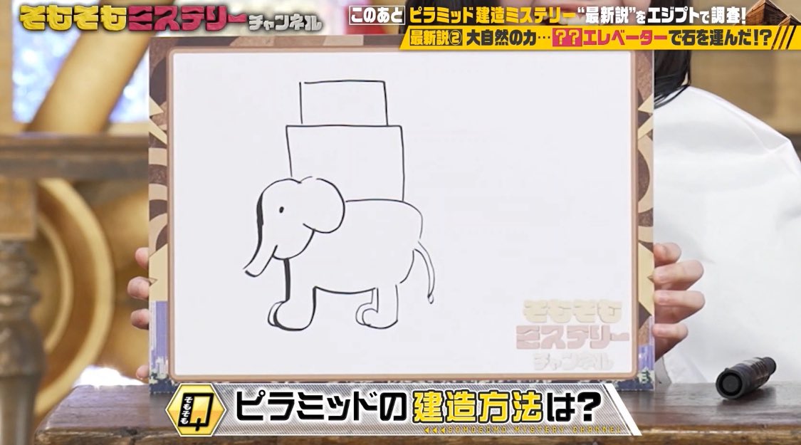 nmn36156768 どうゾウ🐘