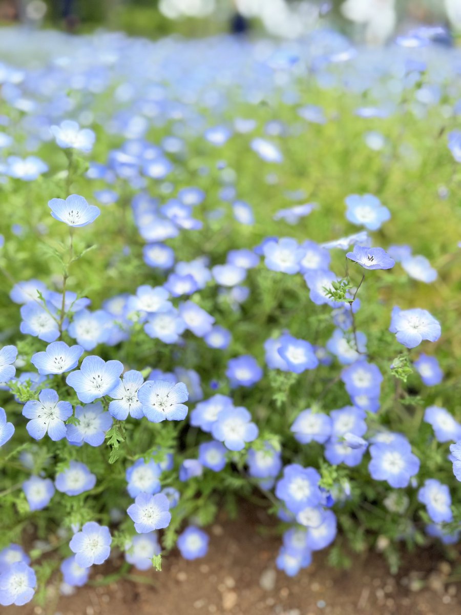 ㄜゅ໒꒱ tweet media