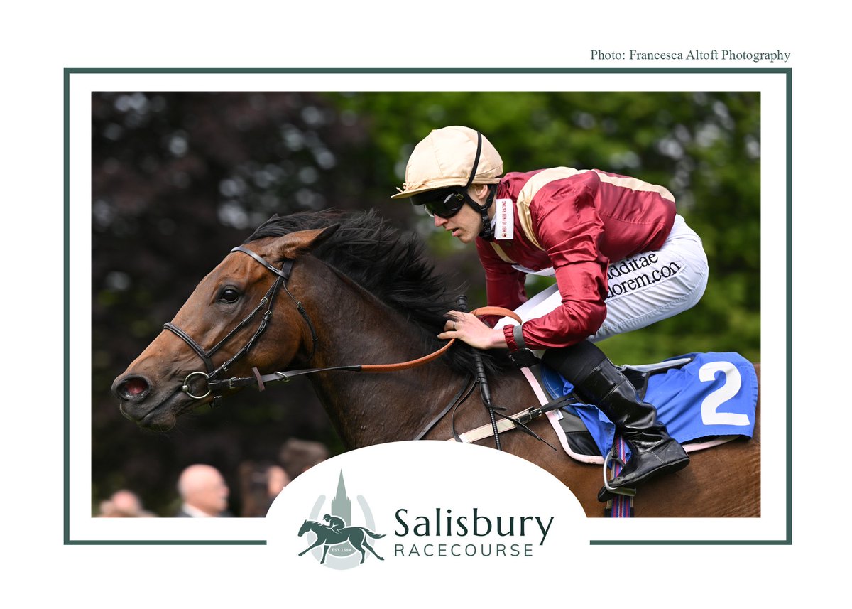 Hot To Trot Racing tweet media