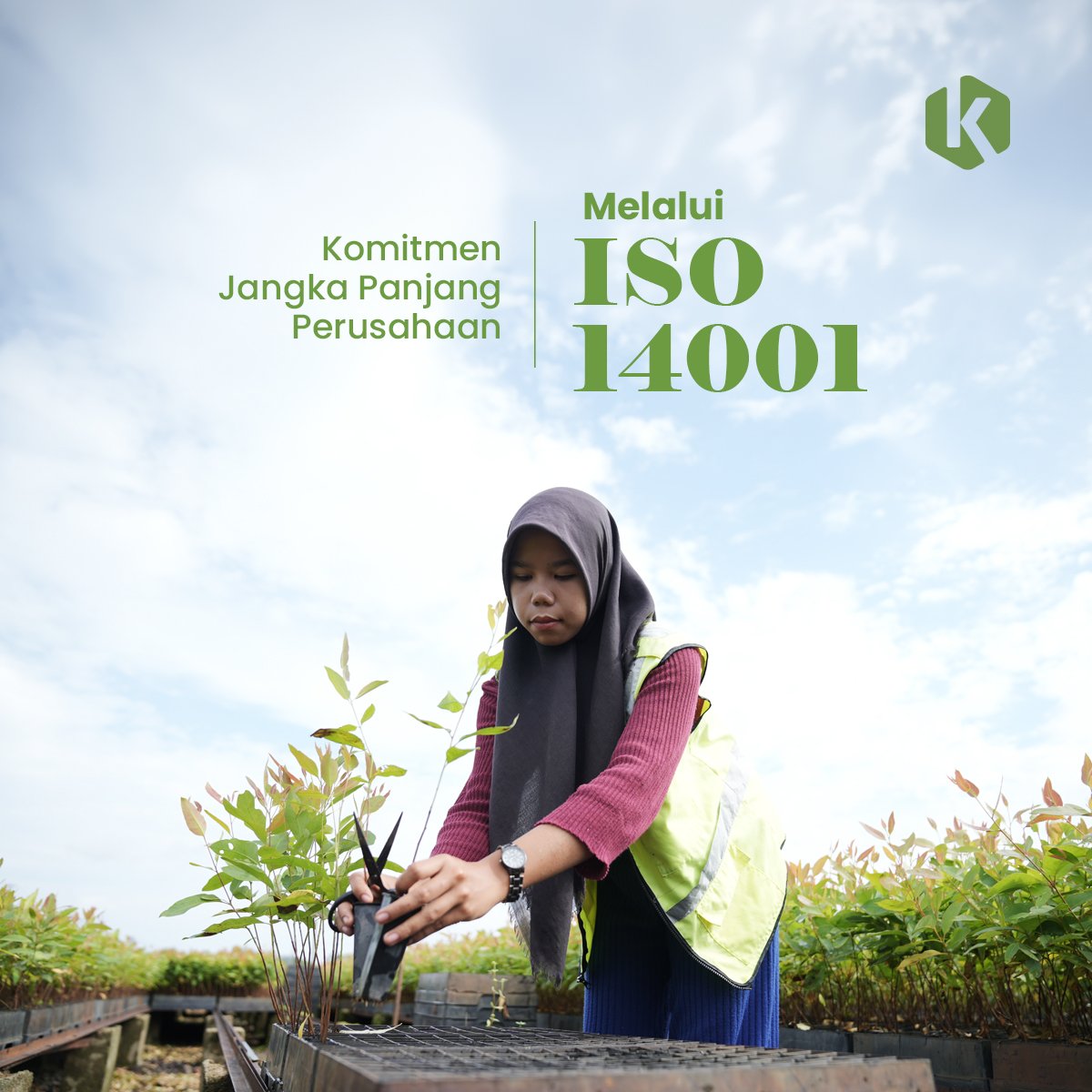 Korindo Group tweet media