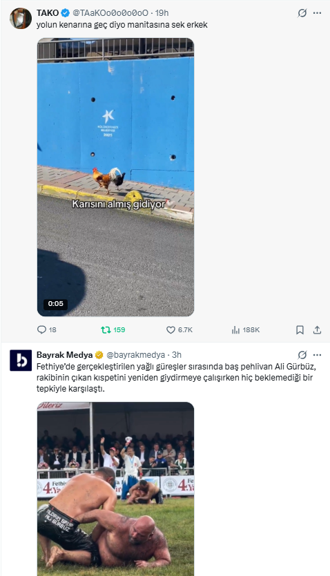 zart zurt tweet media