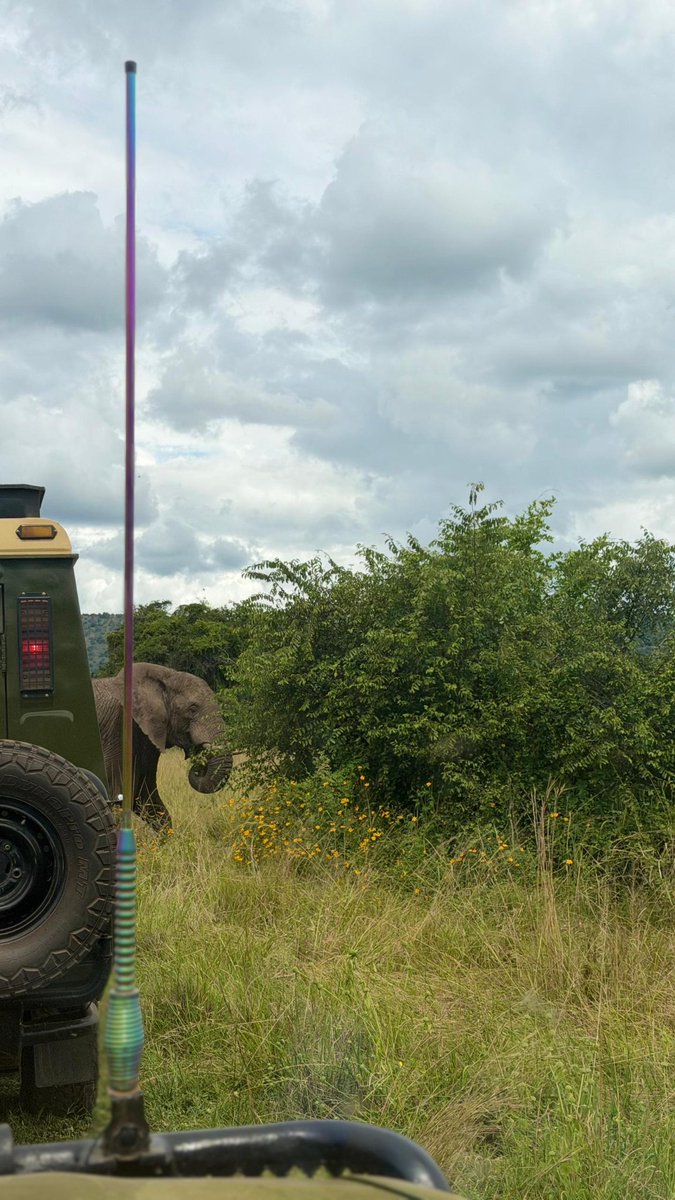 Godiscover_'s tweet photo. Not everything needs a filter. Some moments are born extraordinary.

Explore Africa: https://t.co/WoNjtCfrtU https://t.co/97m6ot2nO6
