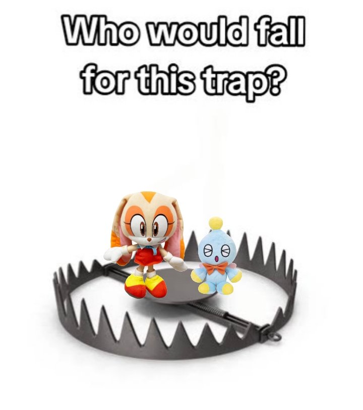 #1 Cream The Rabbit & Cheese The Chao Fan tweet media