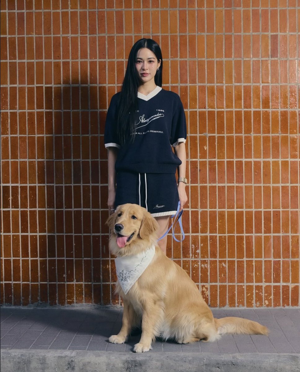 ( ㅇㅅㅇ ) 🦮🪽 tweet media