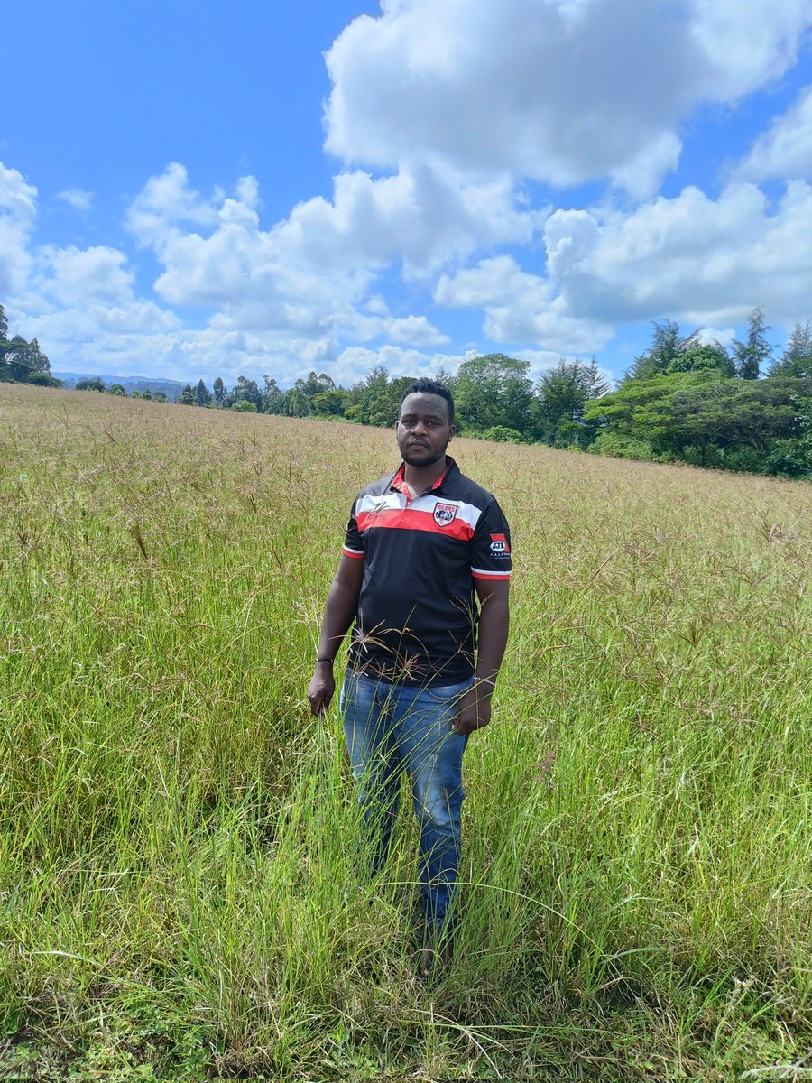 Andrew k Rotich tweet media