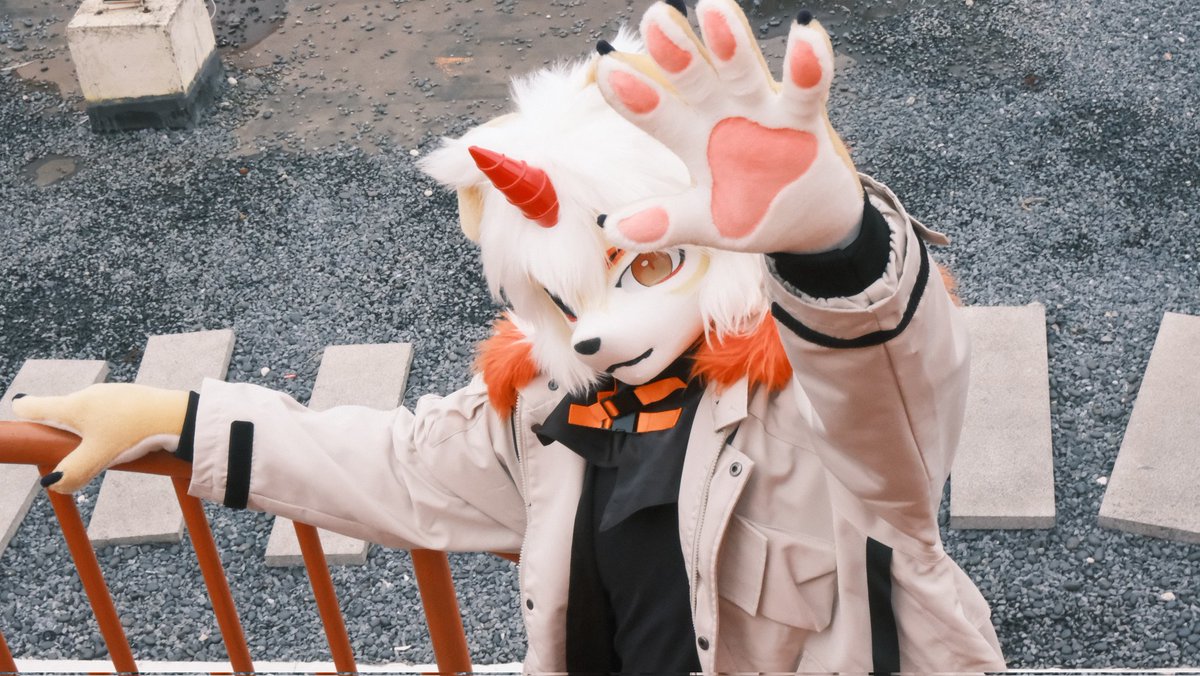 阿白熊的星空 tweet media