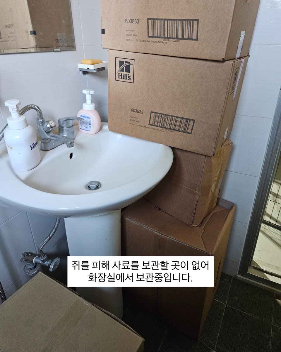 Hyeyounkim3's tweet photo. 아이들의 사료와 물품을 안전하게 보관할 공간이 절실합니다.

현재 쉼터에는 쥐가 돌아다니며 사료와 간식을 훼손하고 있고, 냉장고 문 고무까지 파먹는 상황입니다. 사료를 지키기 위해 화장실이나 밀폐된 공간에 나눠 보관하고 있지만, 더 이상 버티기 어려운 상태입니다.

쉼터에 사용하지 않던 컨테이너가 있어 창고로 활용하려 했지만, 내부에 폐기물이 가득 쌓여 있고 문도 없으며 단열도 되지 않아 공사가 필요한 상황이었습니다. 현재 공사를 진행 중이며, 폐기물만 약 2톤이 나왔습니다.

이 공사가 완료되면 사료와 간식은 물론, 이불 등 아이들에게 필요한 물품을 쥐로부터 안전하게 보관할 수 있게 됩니다.

창고 공사를 마무리하기 위해 약 300만 원을 정산해야 합니다.
아이들의 먹거리와 생활용품을 지킬 수 있도록, 공사가 무사히 마무리될 수 있게 도움을 부탁드립니다.