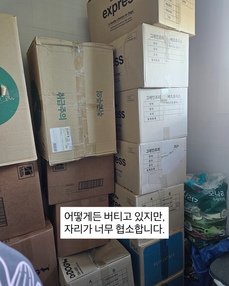 Hyeyounkim3's tweet photo. 아이들의 사료와 물품을 안전하게 보관할 공간이 절실합니다.

현재 쉼터에는 쥐가 돌아다니며 사료와 간식을 훼손하고 있고, 냉장고 문 고무까지 파먹는 상황입니다. 사료를 지키기 위해 화장실이나 밀폐된 공간에 나눠 보관하고 있지만, 더 이상 버티기 어려운 상태입니다.

쉼터에 사용하지 않던 컨테이너가 있어 창고로 활용하려 했지만, 내부에 폐기물이 가득 쌓여 있고 문도 없으며 단열도 되지 않아 공사가 필요한 상황이었습니다. 현재 공사를 진행 중이며, 폐기물만 약 2톤이 나왔습니다.

이 공사가 완료되면 사료와 간식은 물론, 이불 등 아이들에게 필요한 물품을 쥐로부터 안전하게 보관할 수 있게 됩니다.

창고 공사를 마무리하기 위해 약 300만 원을 정산해야 합니다.
아이들의 먹거리와 생활용품을 지킬 수 있도록, 공사가 무사히 마무리될 수 있게 도움을 부탁드립니다.