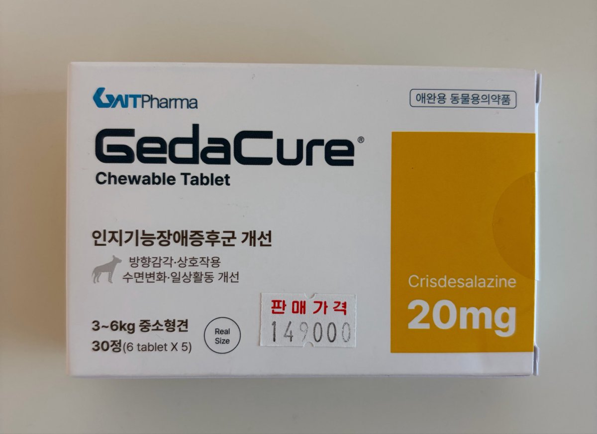 윤쓰 tweet media