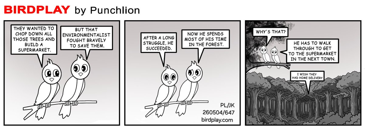 Birdplay tweet media