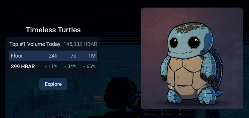 Timeless Turtles tweet media