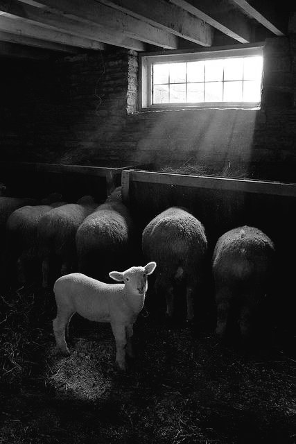 Marydrina's tweet image. #blackandwhite #photography