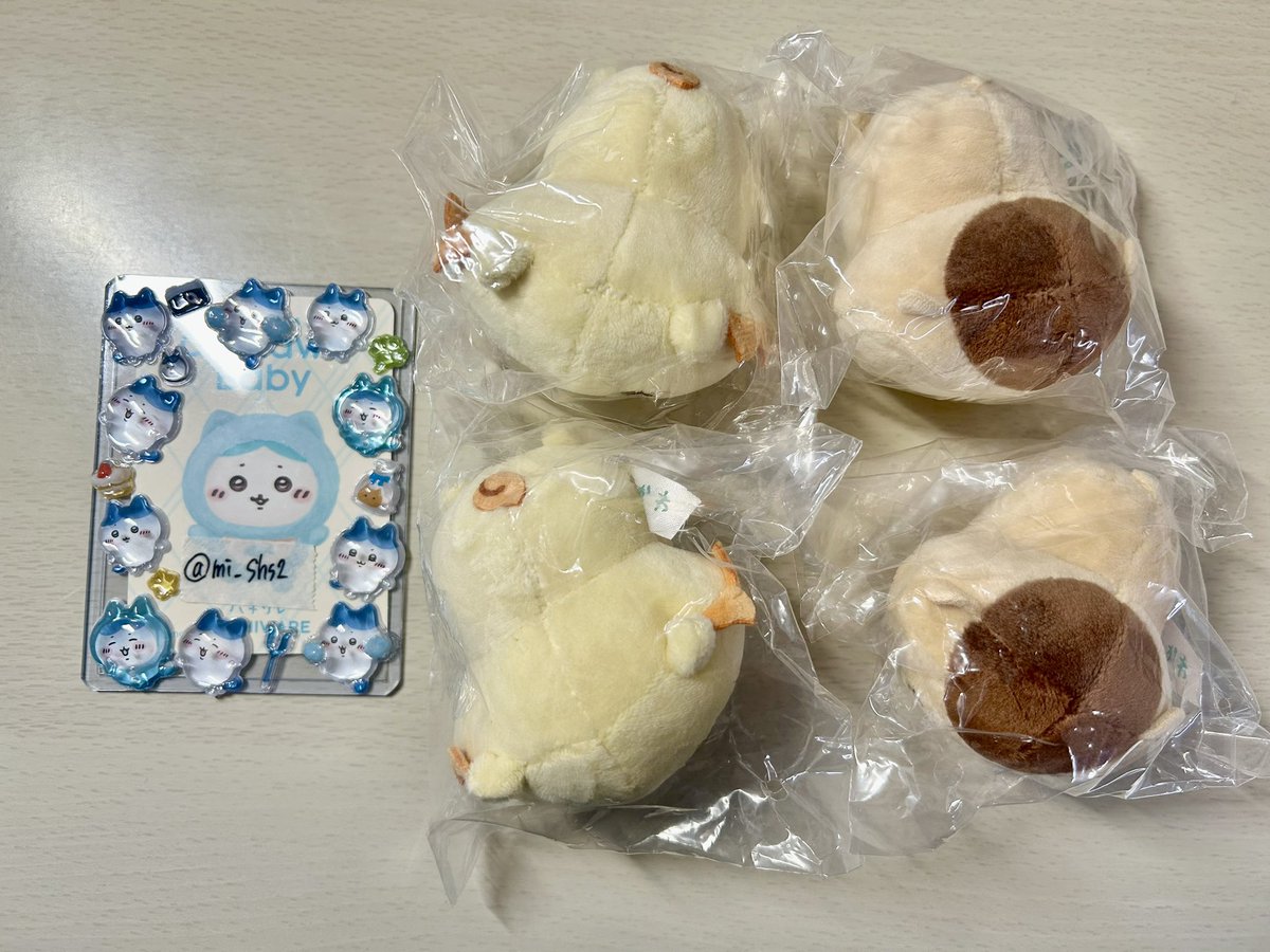 さく tweet media