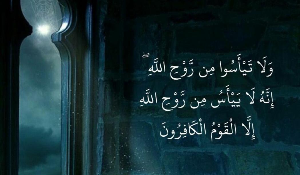 الإنسانةmaha tweet media