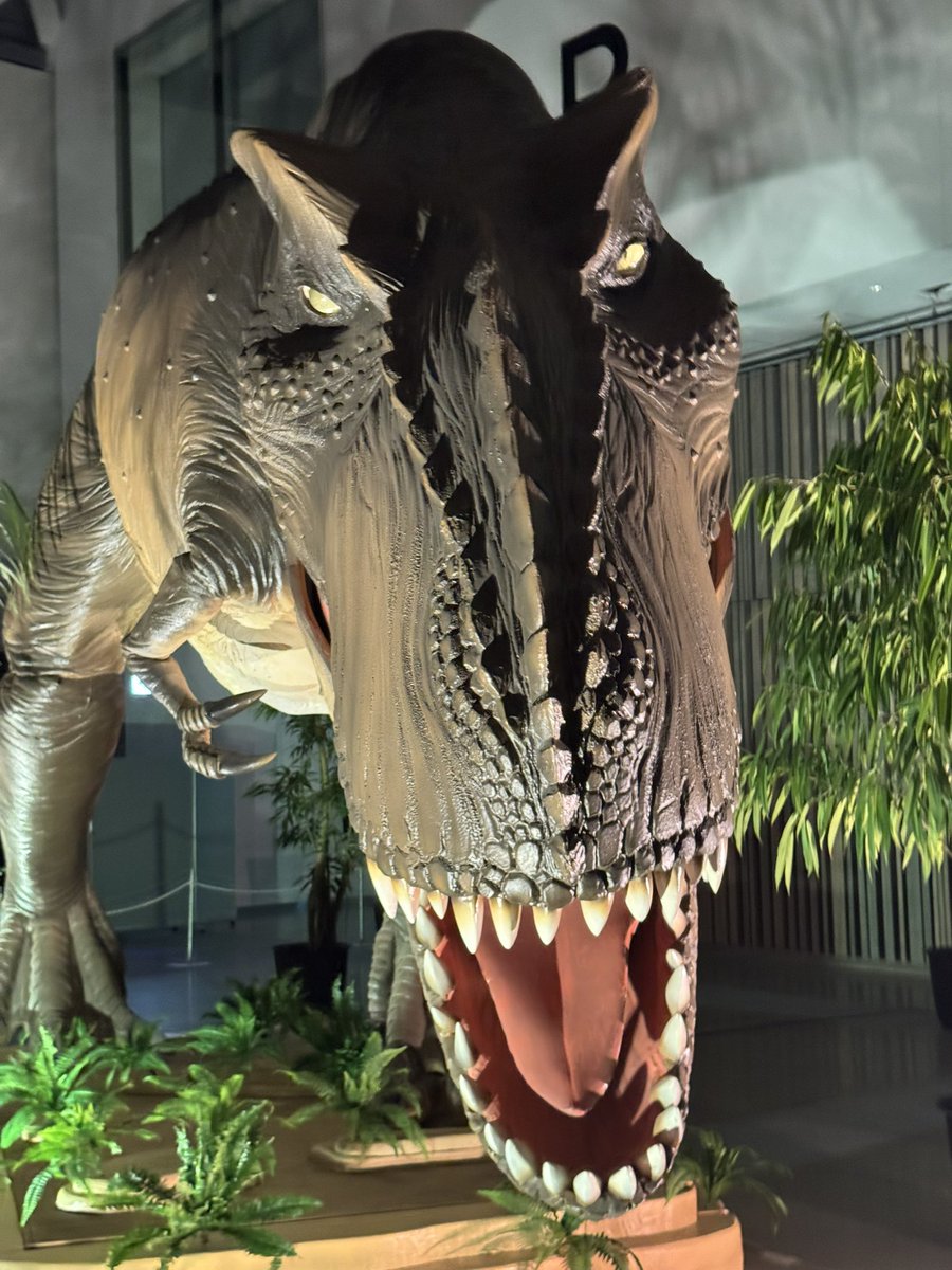 PaulMerza's tweet photo. 東京たま恐竜博へ行きました！
最初は子供向けか？と思いましたが、実際に実物大の恐竜達を見ると迫力満点❗️
　思い切って入場して良かったでした。 https://t.co/VNtN6IMiTo