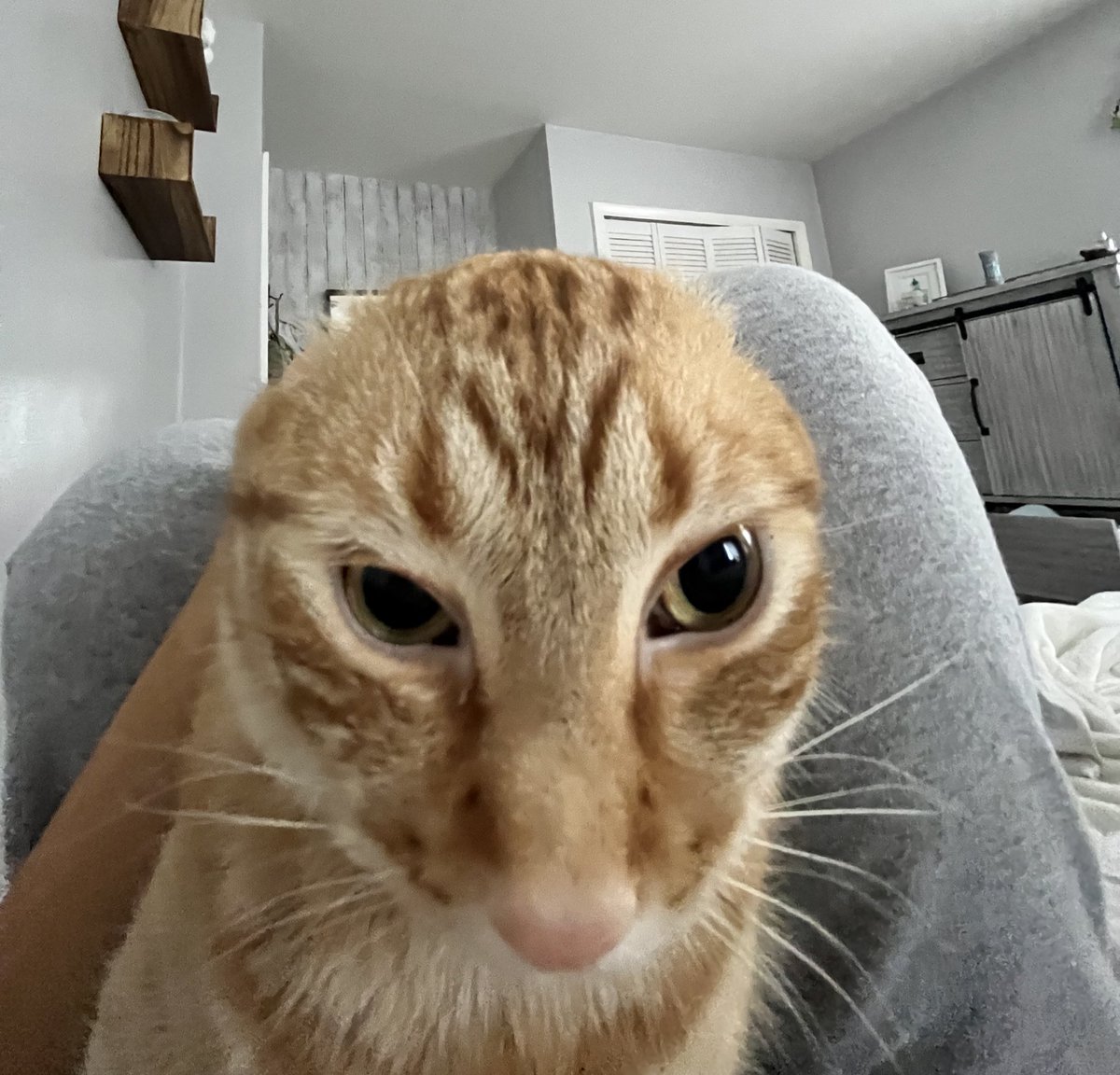 Ezekiel Pergums tweet media