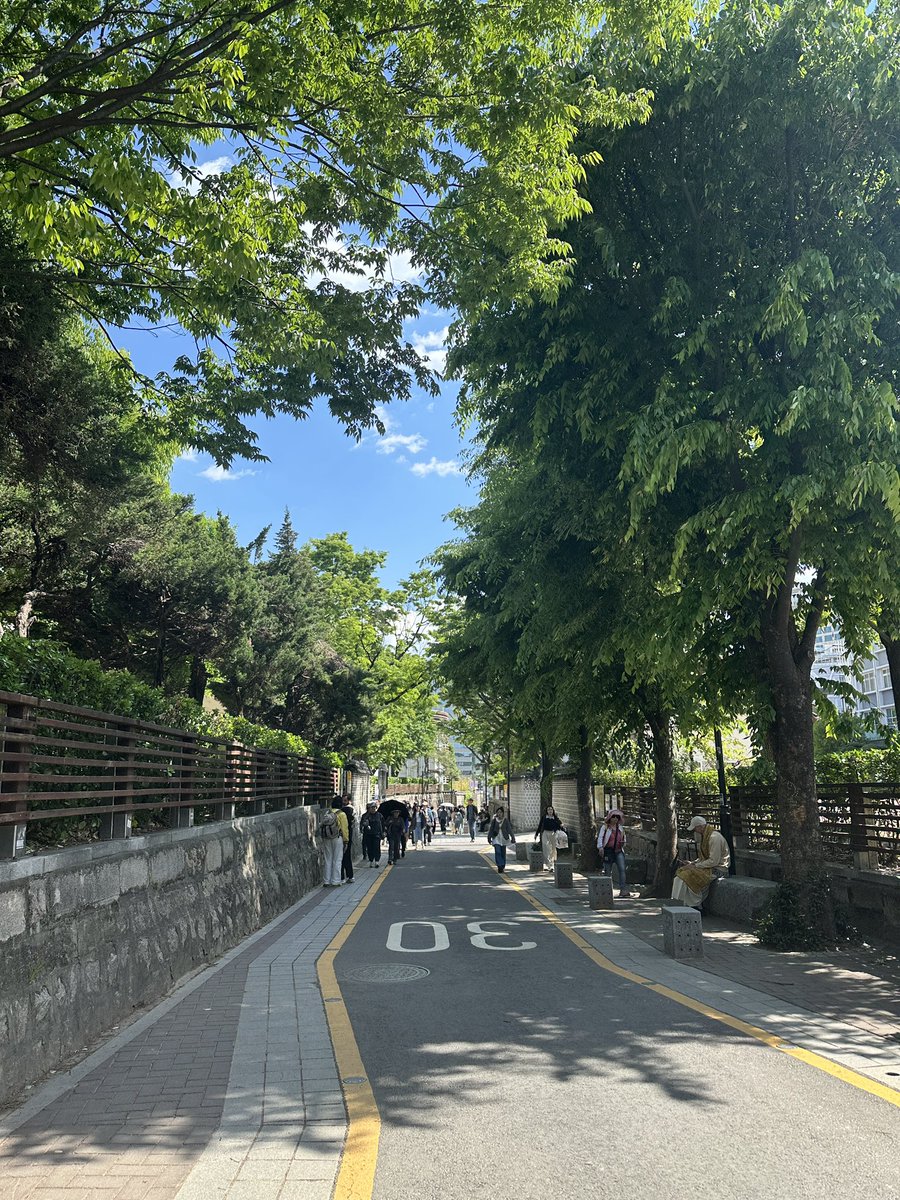 밍요 tweet media