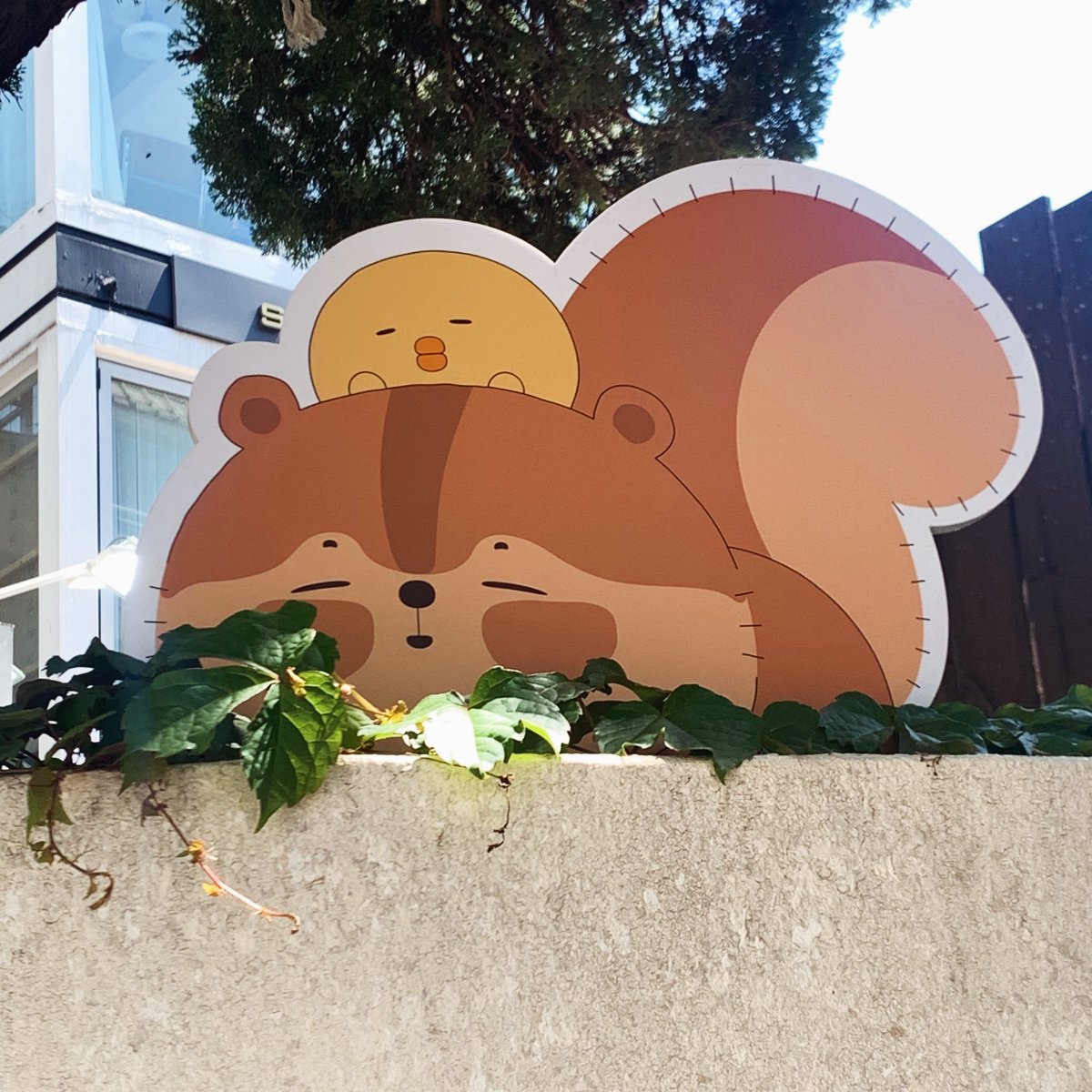 _SYBIL11_'s tweet photo. -
𝟮𝟬𝟮𝟲.𝟬𝟱.𝟬𝟰(월)
람샤의 체리파티🐿️🍒
𝗥𝗮𝗺𝘅𝗶𝗮’𝘀 𝗟𝗼𝗴 𝗣𝗢𝗣-𝗨𝗣💖
#김준수 #金俊秀 #xiajunsu #ramxia #람샤팝업 https://t.co/FJNgq4KtNC
