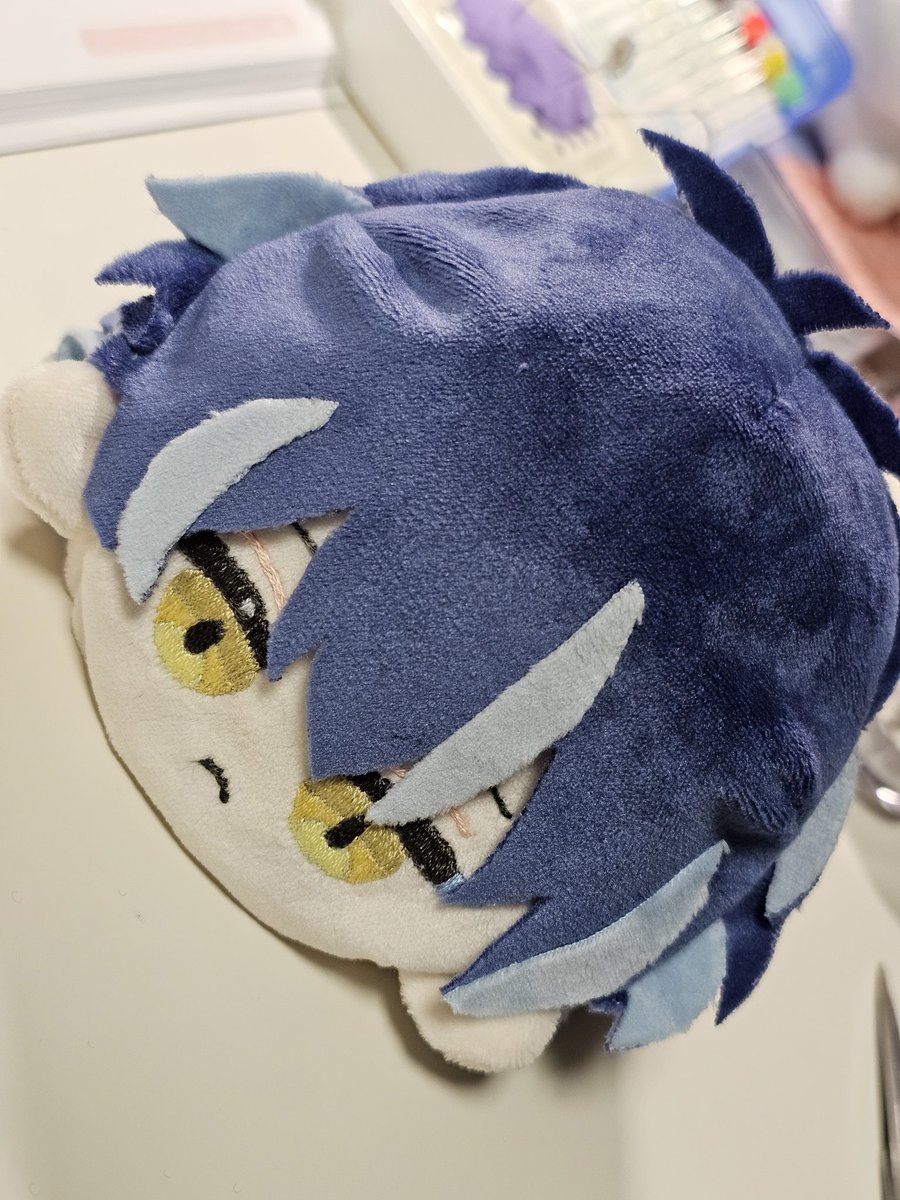 雪白 tweet media