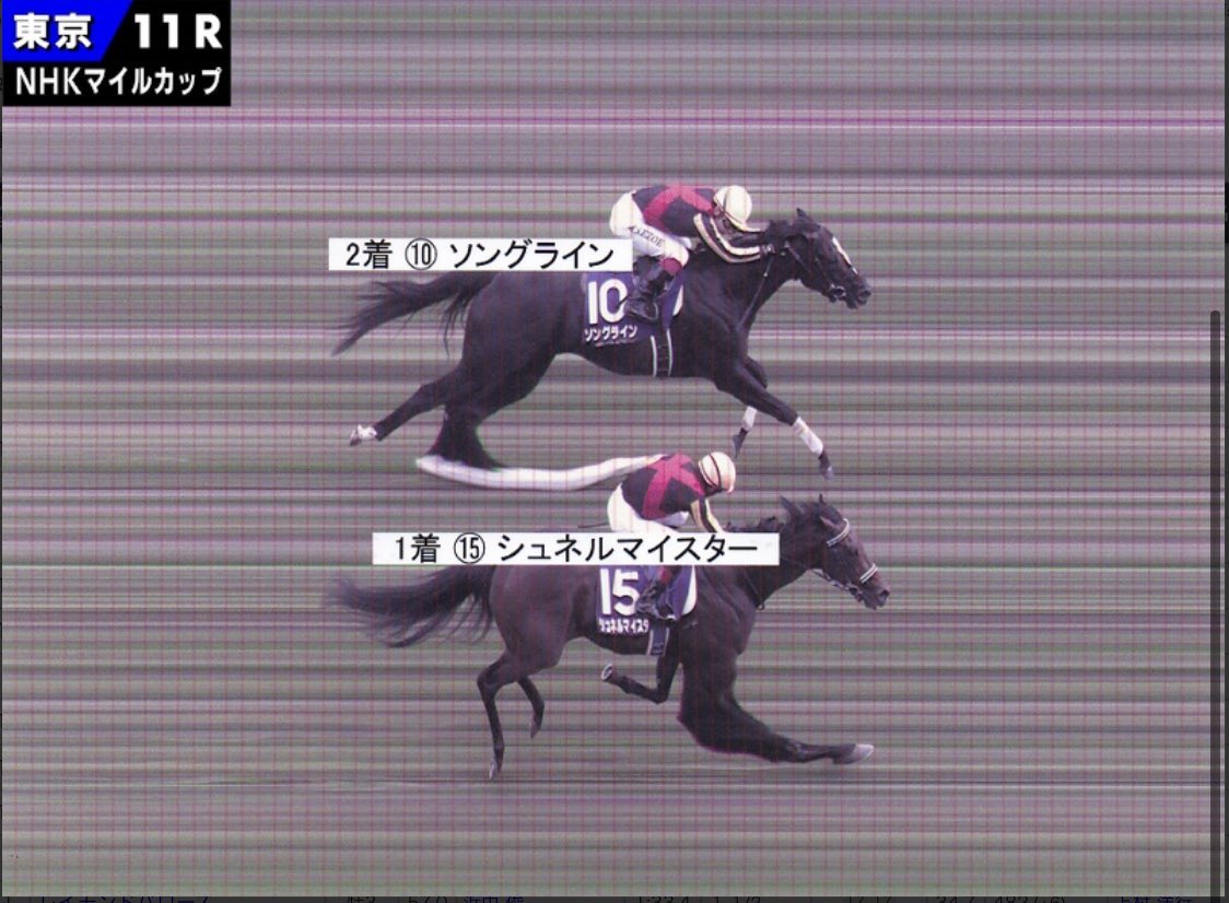 カリメロ/穴馬オタク🐨競馬 tweet media