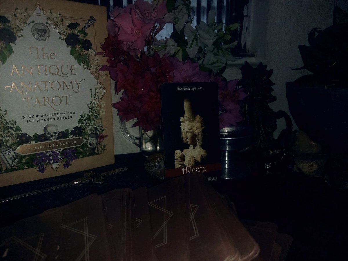 nathaly 𝅄 ꣑ৎ tarot no fixado !! tweet media