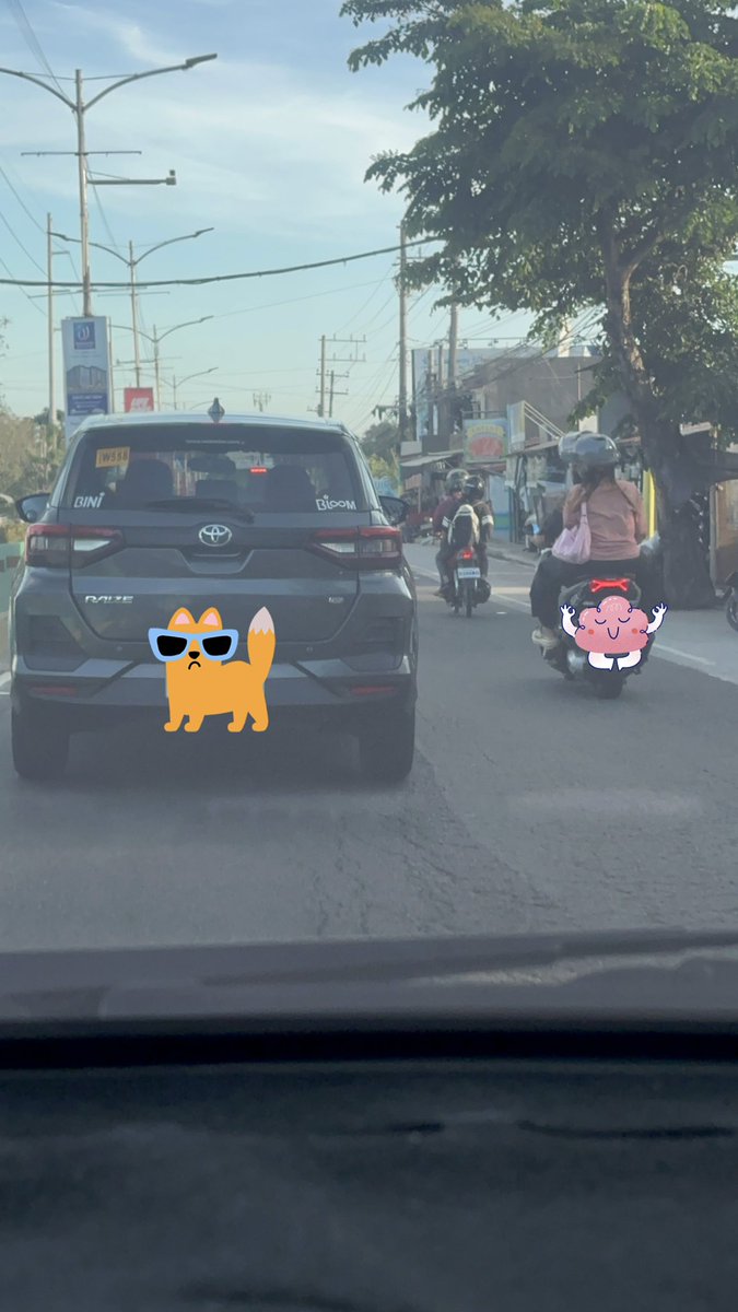 daescortez's tweet image. Andto kaya sa bloomtwt ang #bloom na lagi ko nkakasabay sa kalsada🌸 hello po. 3x ba kita nkakasabay ng Lunes✨