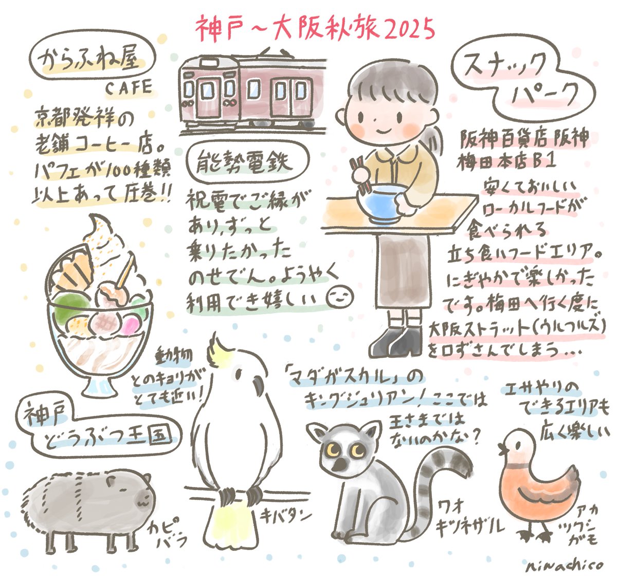 Niwachico🌱🐓庭野けいちこ tweet media