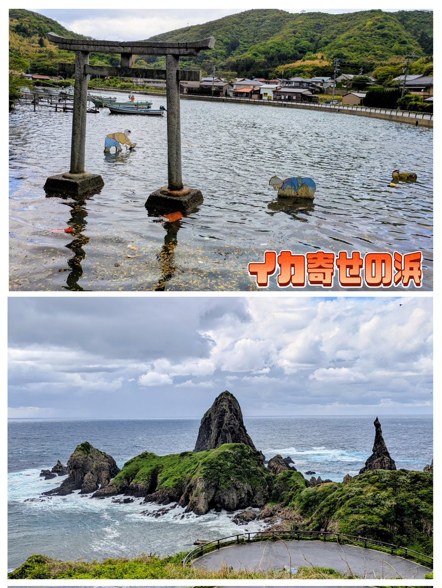 ｡:°ஐ..*肉肉しい😎超🐉戦士🥩2️⃣9⃣🅿️4️⃣🍖ゆめぴよ˙꙳ʚ🐣ɞ꙳˙ஐ:*°｡ tweet media