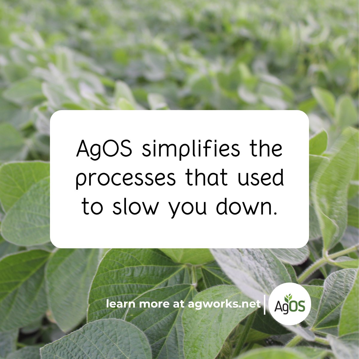 AgWorksSoftware's tweet photo. Every operation is different, but one thing is consistent, AgOS simplifies the processes that used to slow you down:
• Work order management
• Blend updates
• Field-to-office communication
Less manual effort resulting in more done accurately and in less time. https://t.co/Pf4FRjH90Q