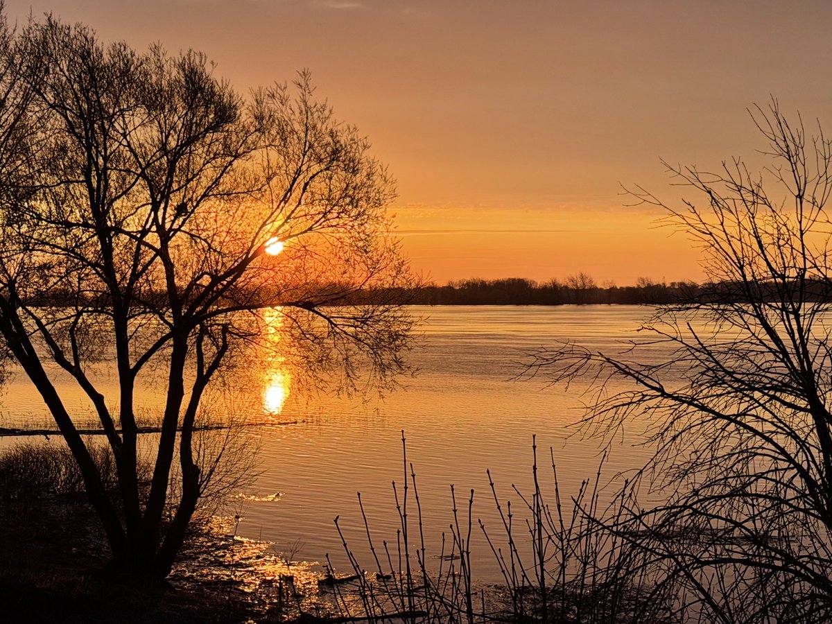 🌞Lise Gagné 📱📷🇨🇦⚜️🌎🙏🏼 tweet media