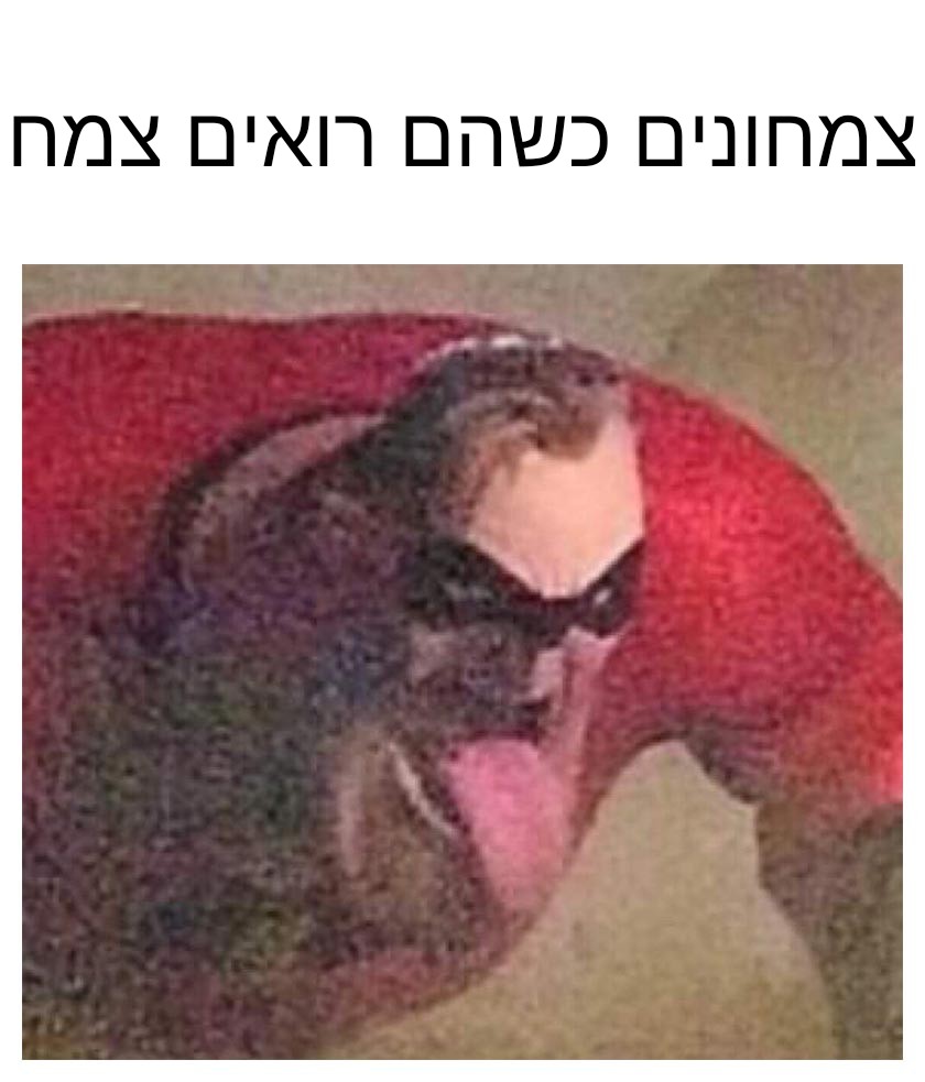 עידו בובליל tweet media