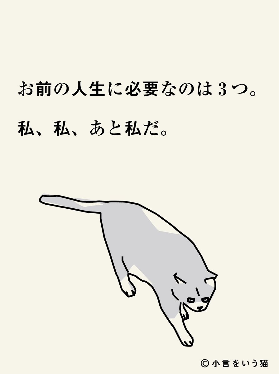 小言をいう猫 tweet media