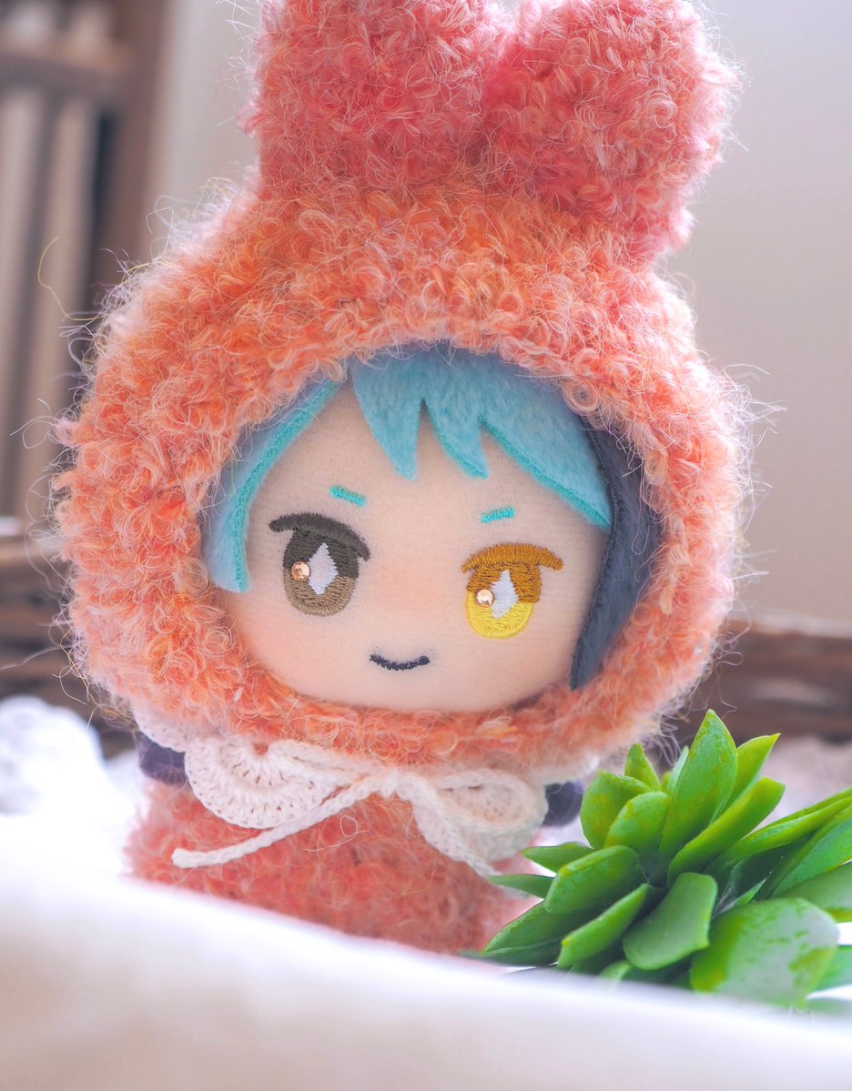 カノン🤓 tweet media