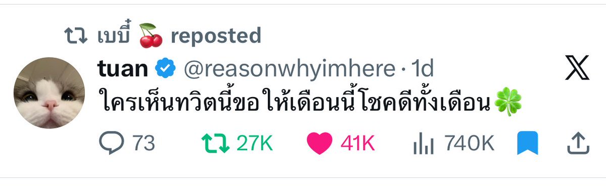 tuan tweet media